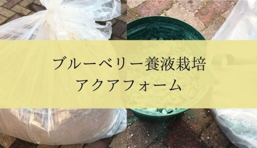 アクアフォーム