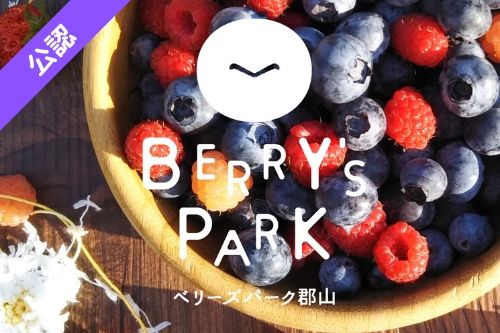 ブルーベリー狩り観光農園一覧