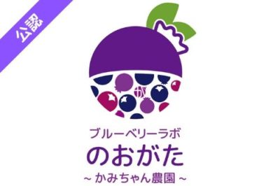 ブルーベリー狩り観光農園一覧