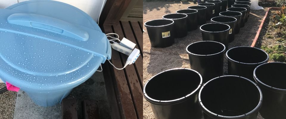 【まとめ】ブルーベリー養液栽培を自宅で行うかんたん栽培キットについて