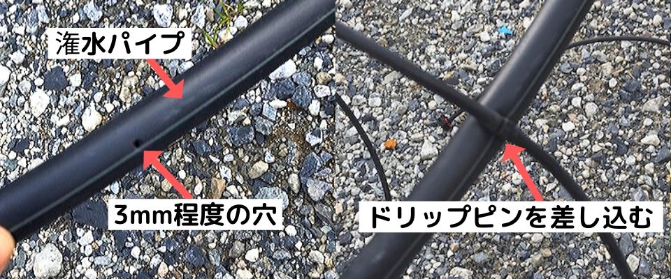 【まとめ】ブルーベリー養液栽培を自宅で行うかんたん栽培キットについて